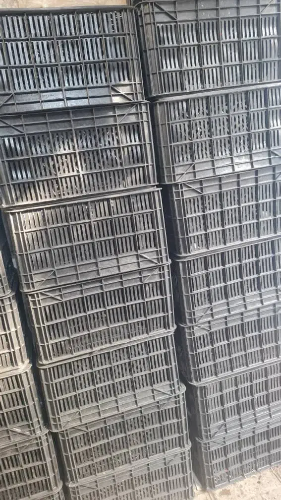 سبدگوجه|ظروف نگهدارنده، پلاستیکی، یکبارمصرف|مشهد, شهرک امام هادی (شهرک غرب)|دیوار