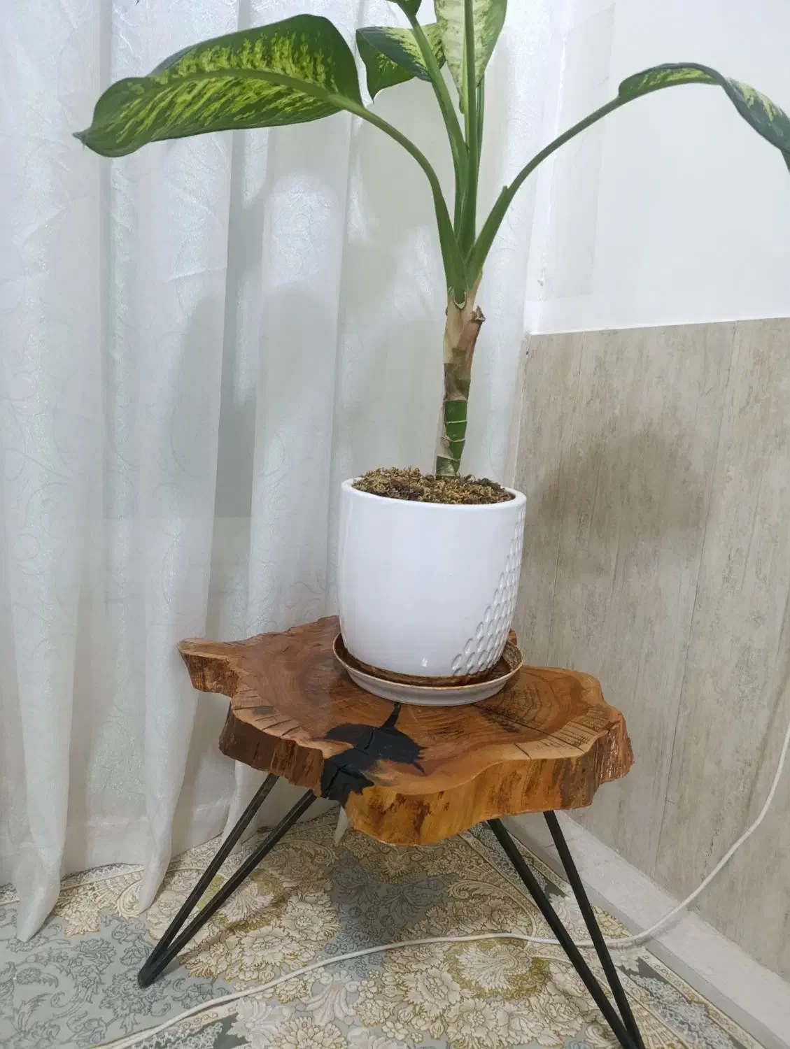 فروش سه عدد میز عسلی ژورنالی طبیعت|مبلمان خانگی و میز عسلی|تربتحیدریه, شهرک ولیعصر|دیوار