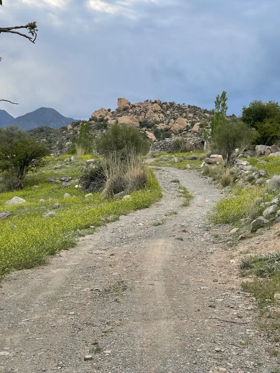 فروش زمین دلفارد|فروش زمین و ملک کلنگی|درب بهشت, |دیوار