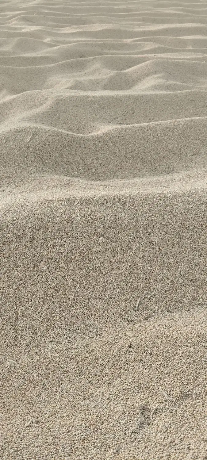 فروش عمده ارزن|عمدهفروشی|جیرفت, |دیوار