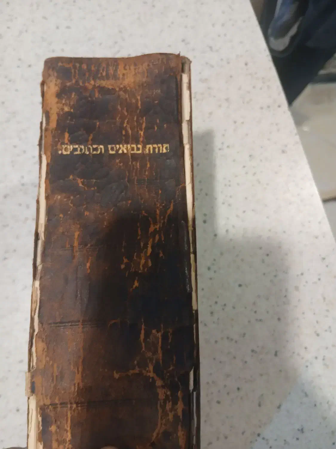 کتاب مقدس عبری چاپ وین (Vienna) سال ۱۸۹۳|کتاب و مجله مذهبی|محمدشهر, هزار واحدی|دیوار