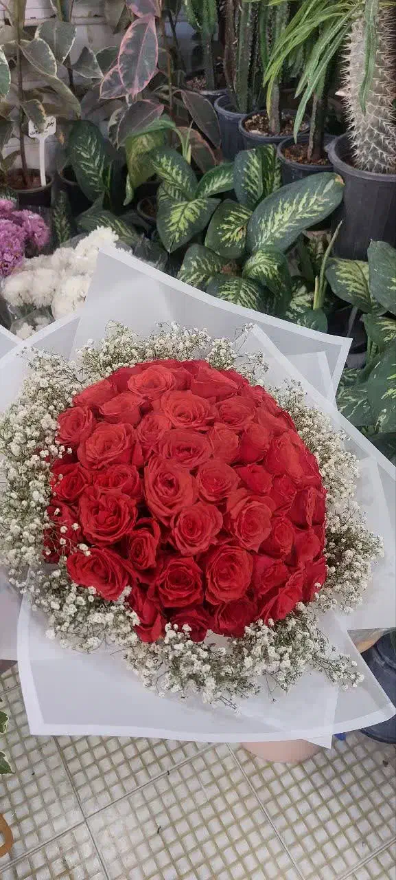 دسته گل رز 20شاخه ای و50تا شاخه ای|گل و گیاه طبیعی|کرمان, |دیوار