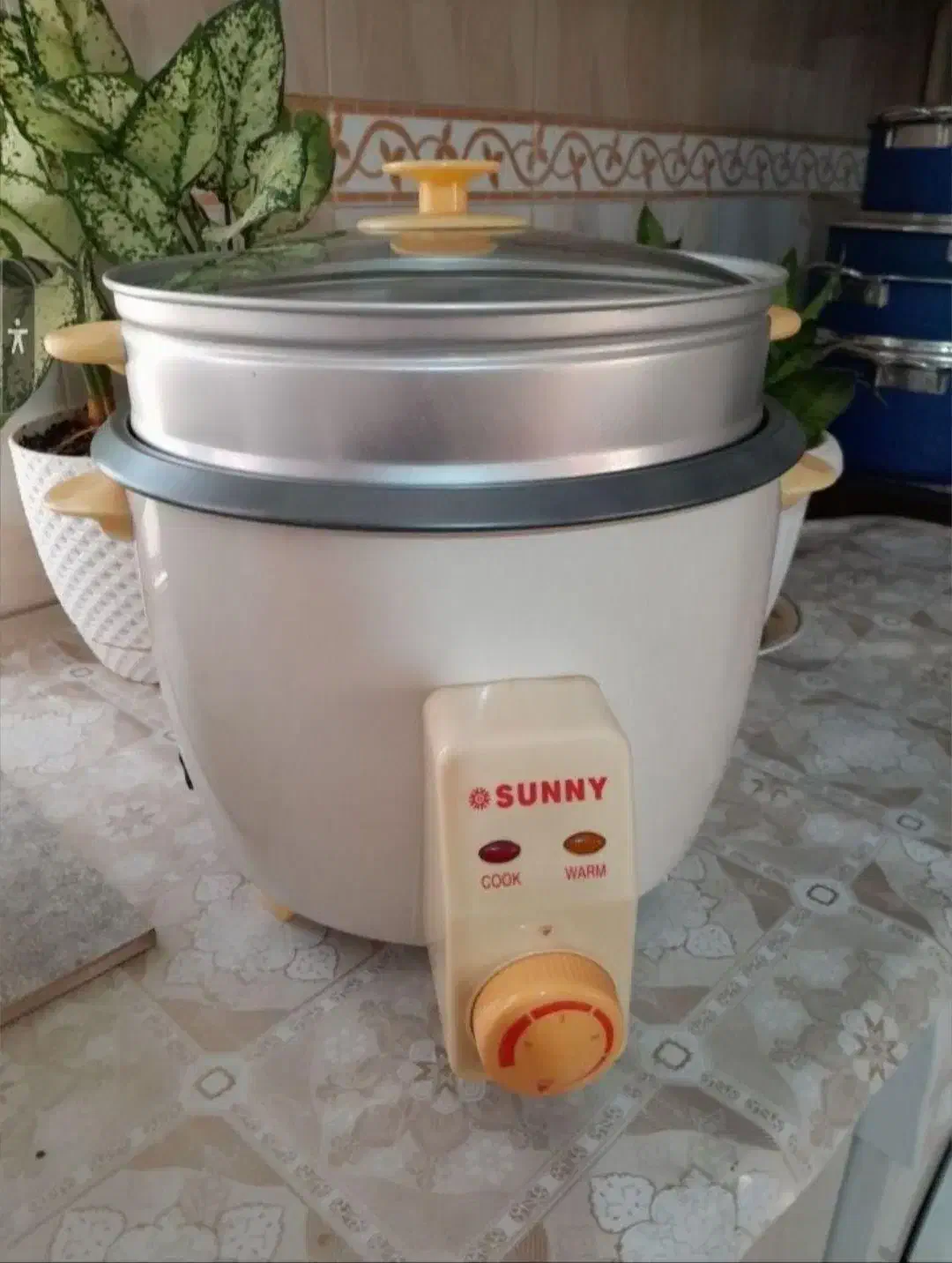 پلوپز بخار پز|اجاق گاز و لوازم برقی پخت‌وپز|آبیک, |دیوار