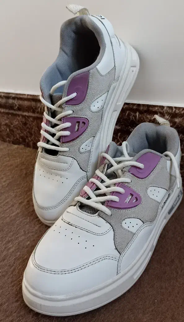 کفش|کیف، کفش، کمربند|قم, محمد آباد|دیوار