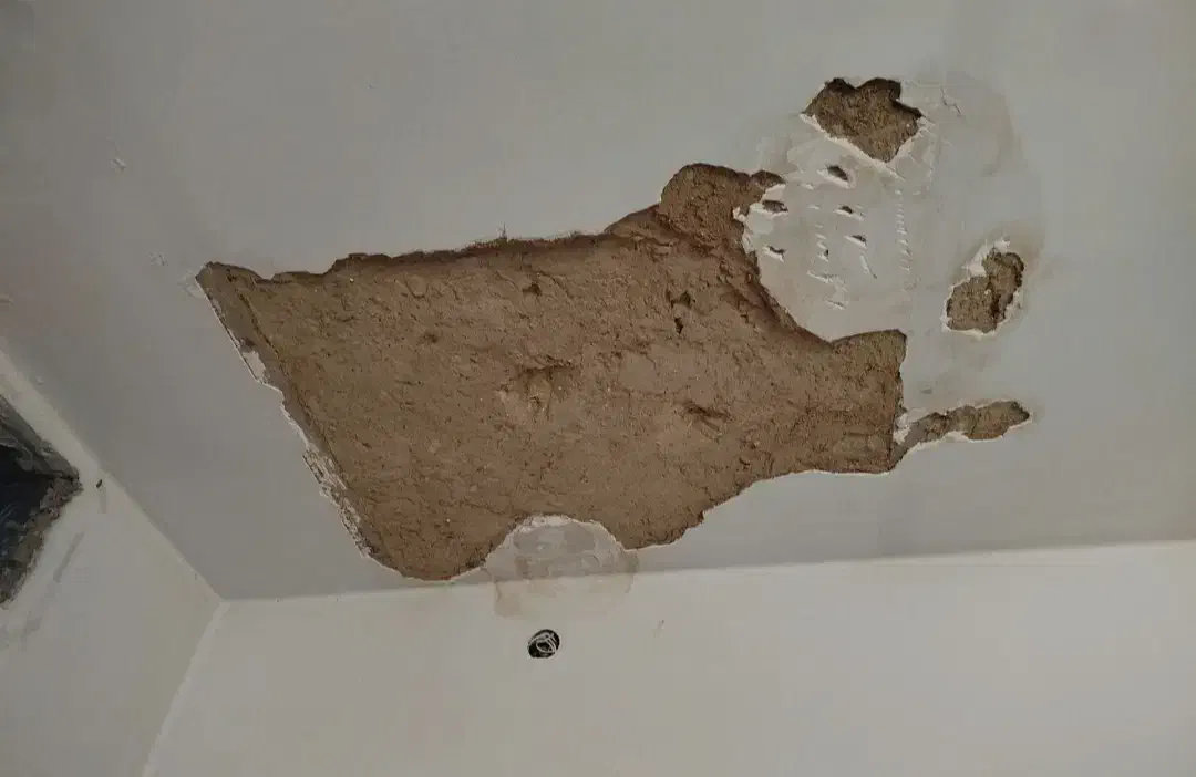 گچکاری‌‌ لکه‌گیری‌ خورده‌کاری‌ سفید‌کاری‌ خاک‌گچ|خدمات پیشه و مهارت|مشهد, هدایت|دیوار