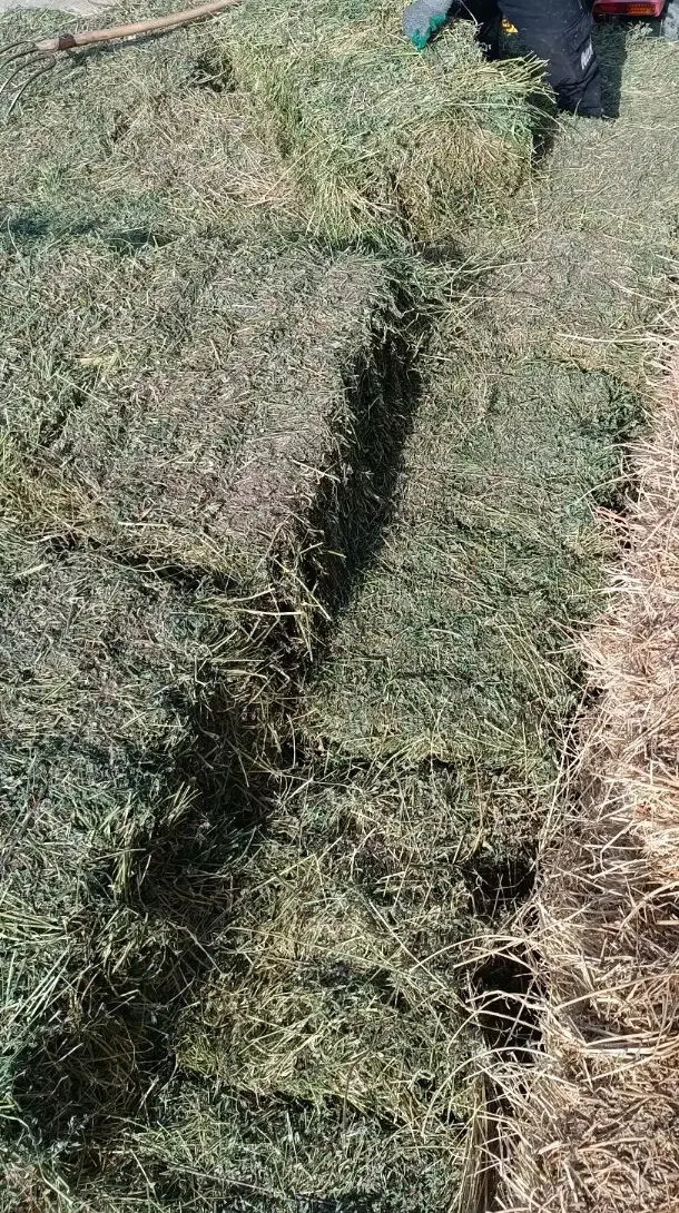 یونجه پرس|عمدهفروشی|بران, |دیوار