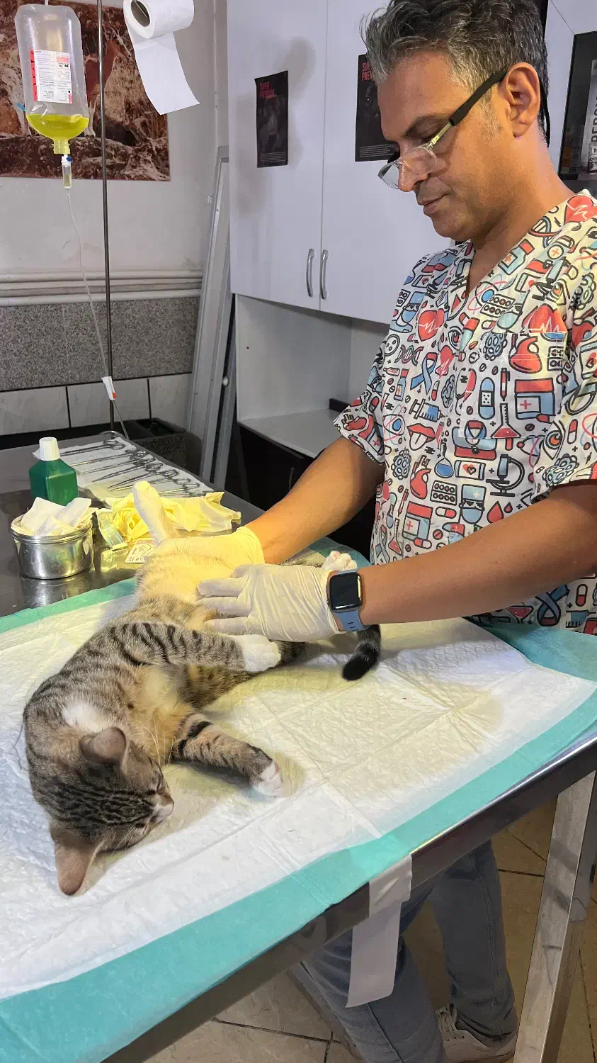 کارمند جهت کار دردرمانگاه دامپزشکی|استخدام درمانی، زیبایی، بهداشتی|ساوه, |دیوار