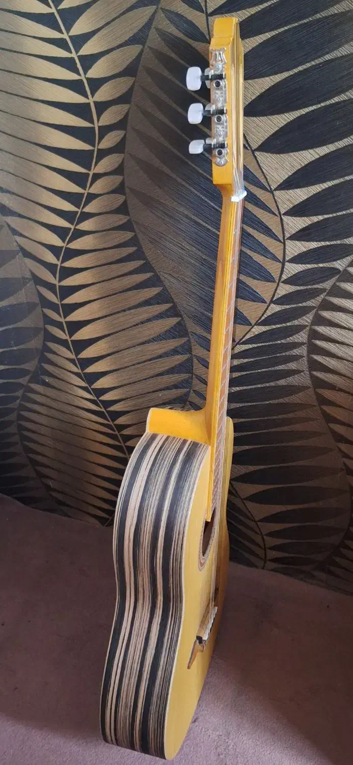 گیتار همراه با کیف|گیتار، بیس، امپلیفایر|ری, بیبی شهر بانو|دیوار