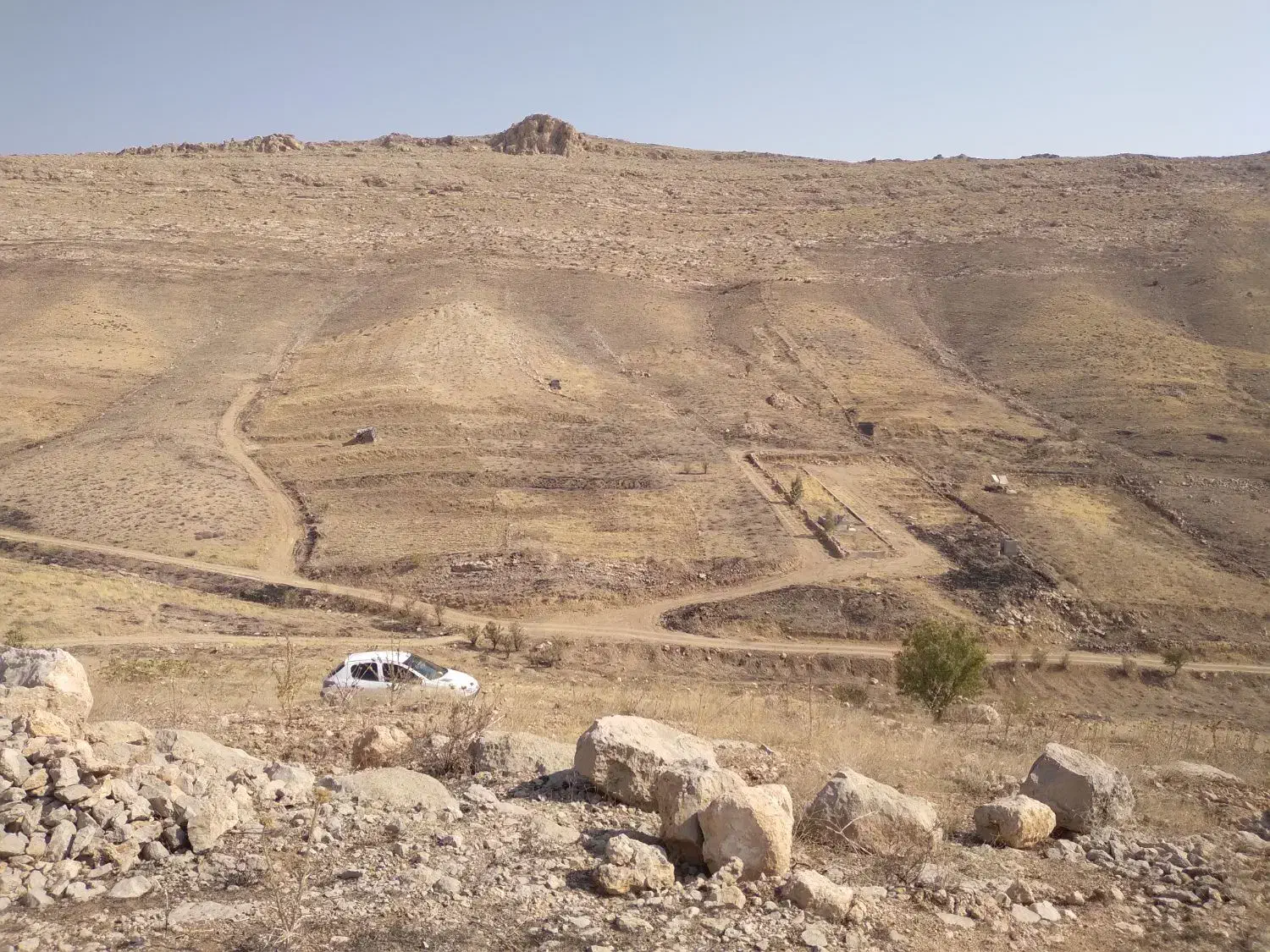 زمین باغچه ۱۰۰۰متری|فروش دفتر صنعتی، کشاورزی، تجاری|شیراز, داریون|دیوار