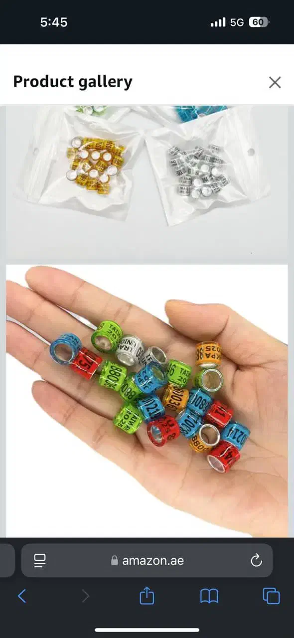 قفس جوجه گیری سوسنگرد|لوازم جانبی حیوانات|سوسنگرد, |دیوار