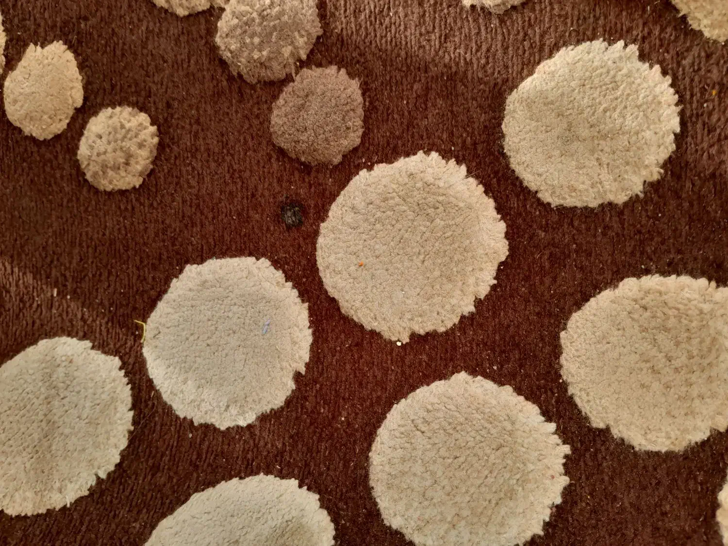 گلیم فرش|گلیم، جاجیم، گبه|خمینیشهر, |دیوار