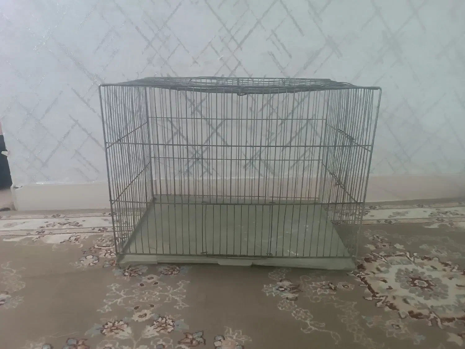 دوتا قفس پرنده|لوازم جانبی حیوانات|قم, پردیسان|دیوار