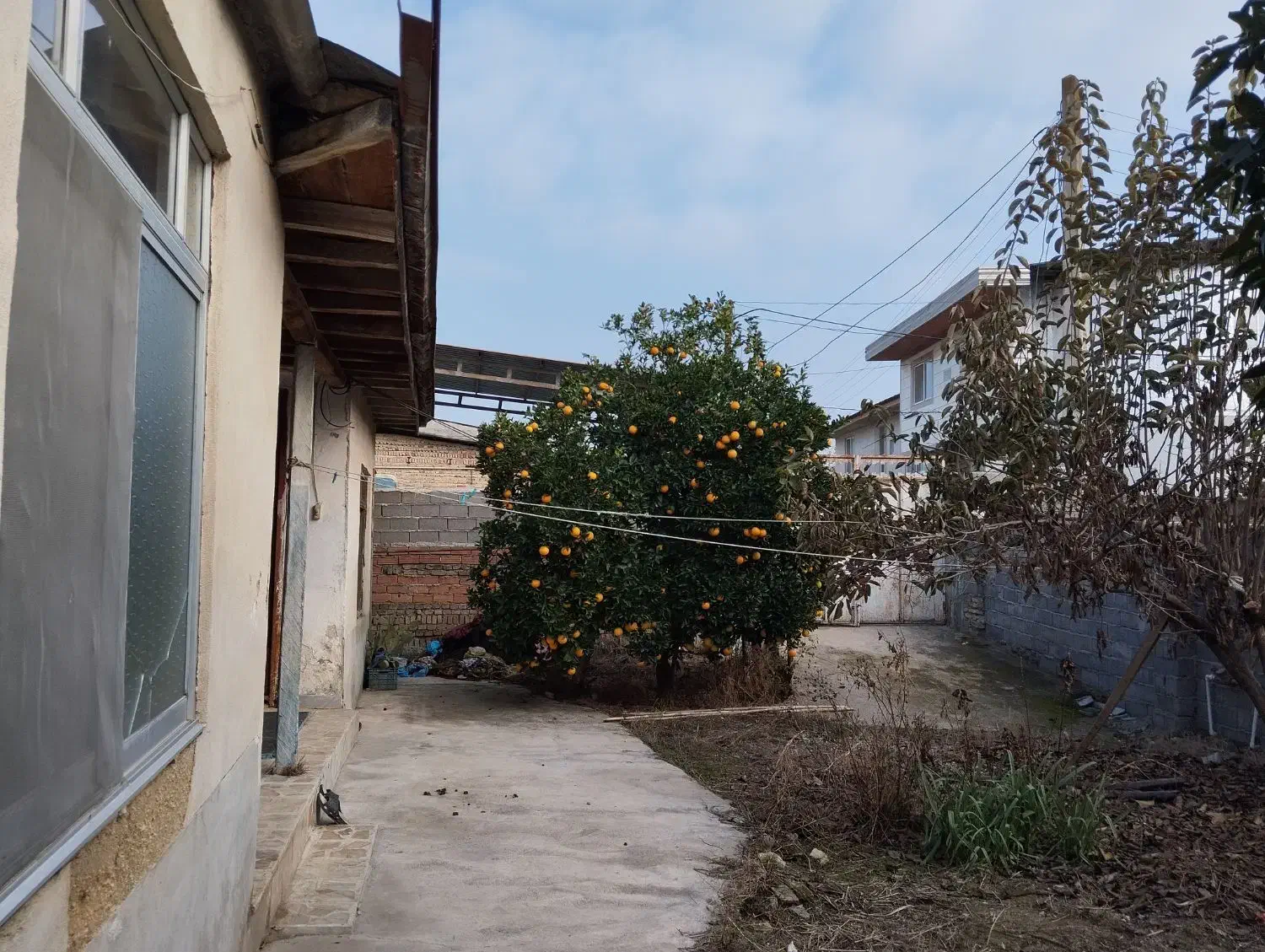 فروش فوری خونه کلنگی(نوذرآباد)|فروش زمین و ملک کلنگی|نکا, |دیوار