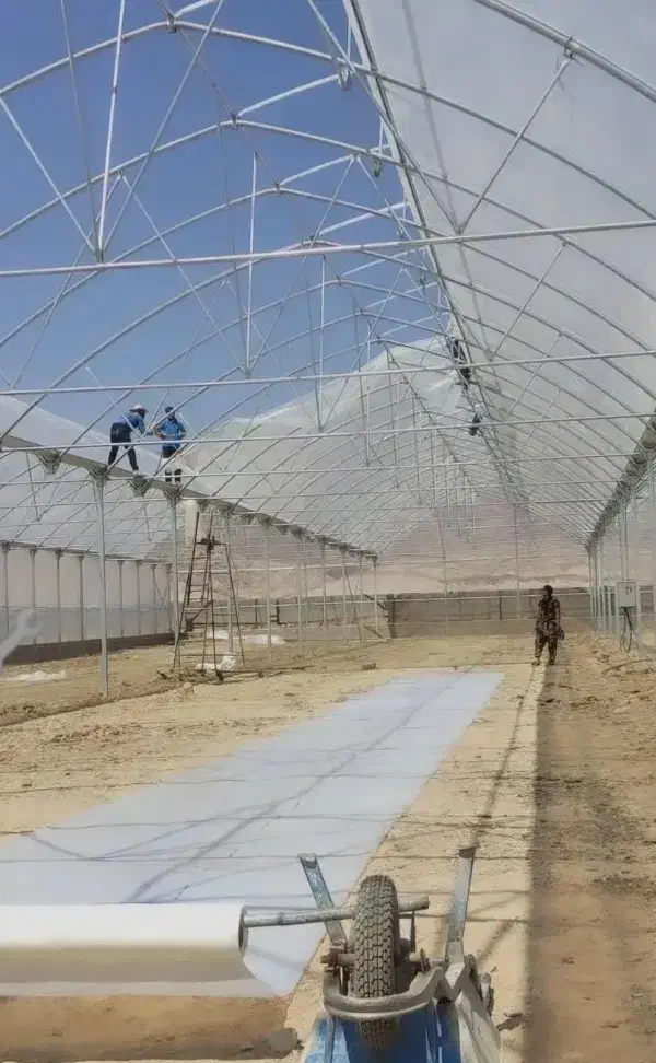 گلخانه/گلخانه سازی/پلاستیک گلخانه/پلاستیک کشی/شید|عمدهفروشی|تهران, نیروی هوایی (پیروزی)|دیوار