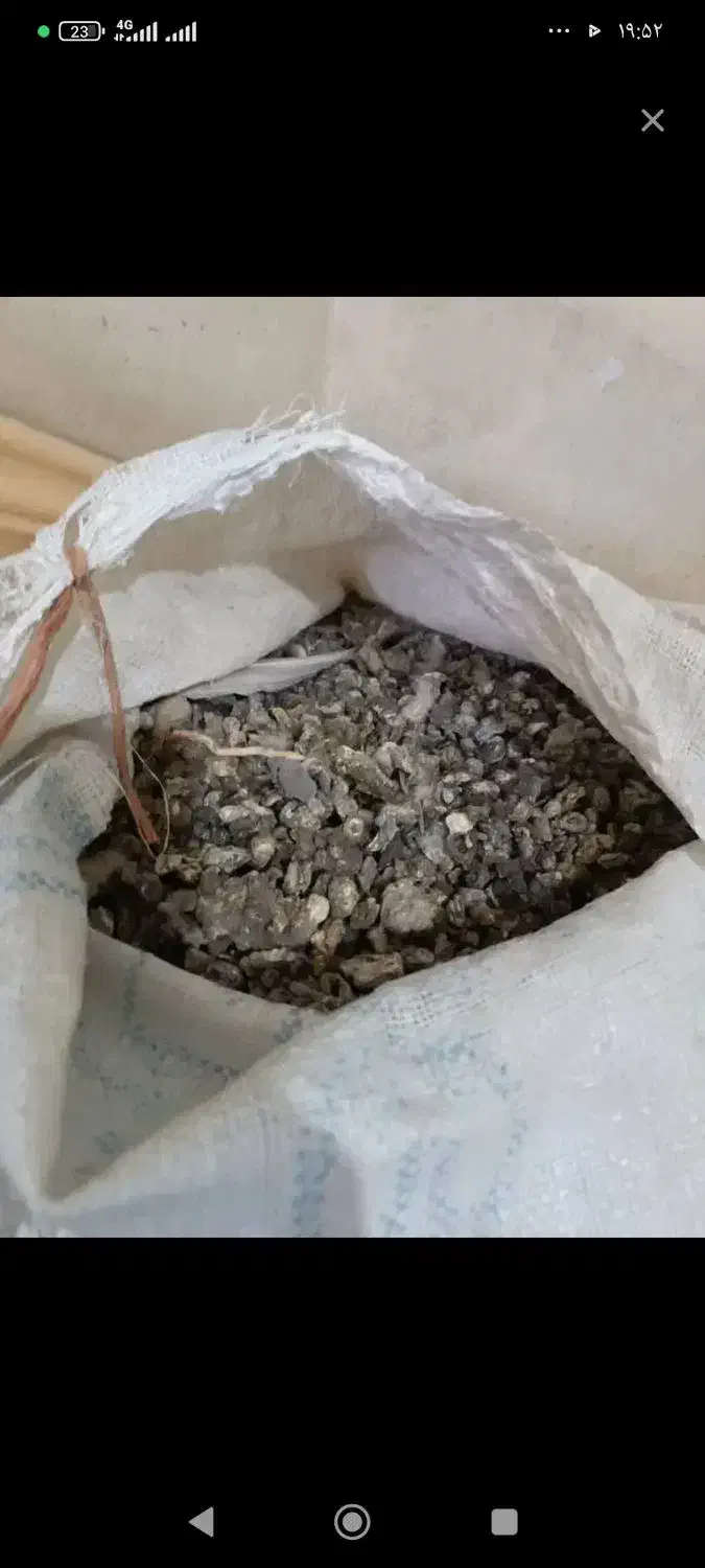 فضله کبوتر|خدمات باغبانی و درختکاری|سنندج, |دیوار