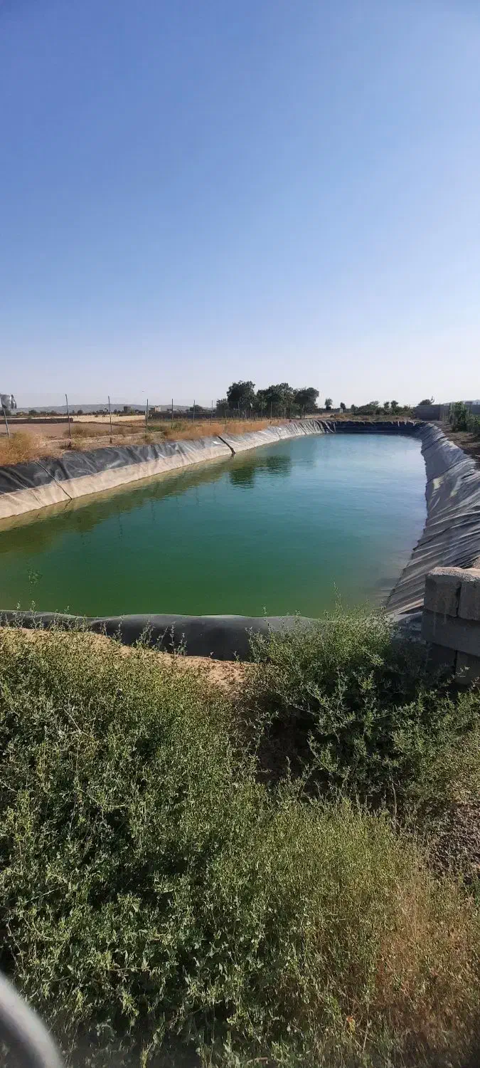 استخرذخیره آب کشاورزی وباغ پسته|فروش دفتر صنعتی، کشاورزی، تجاری|تربت‌حیدریه, پائین ولایت|دیوار