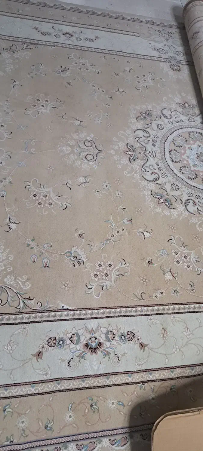 لوازم خانگی|فرش|قیدار, |دیوار