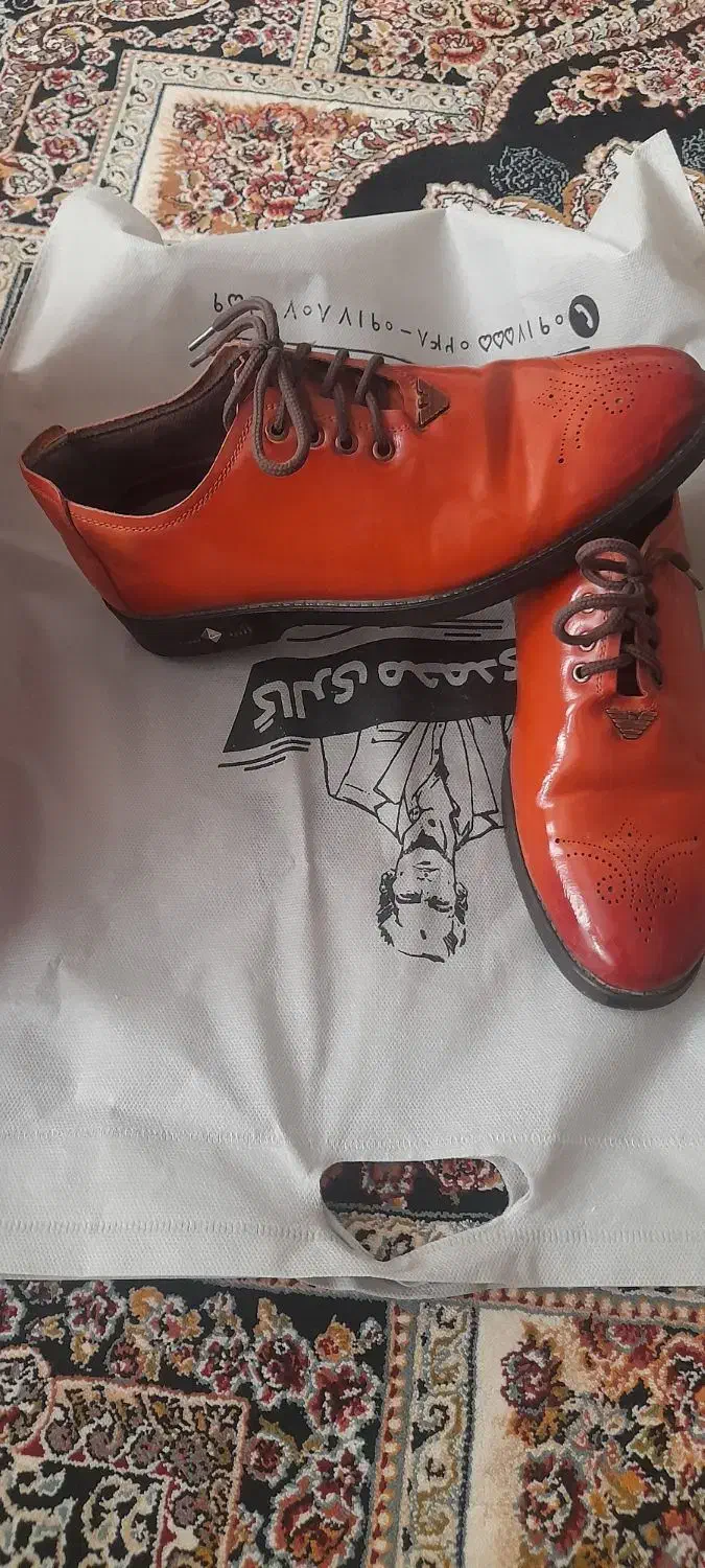 کفش ایمنی|کیف، کفش، کمربند|اردبیل, |دیوار