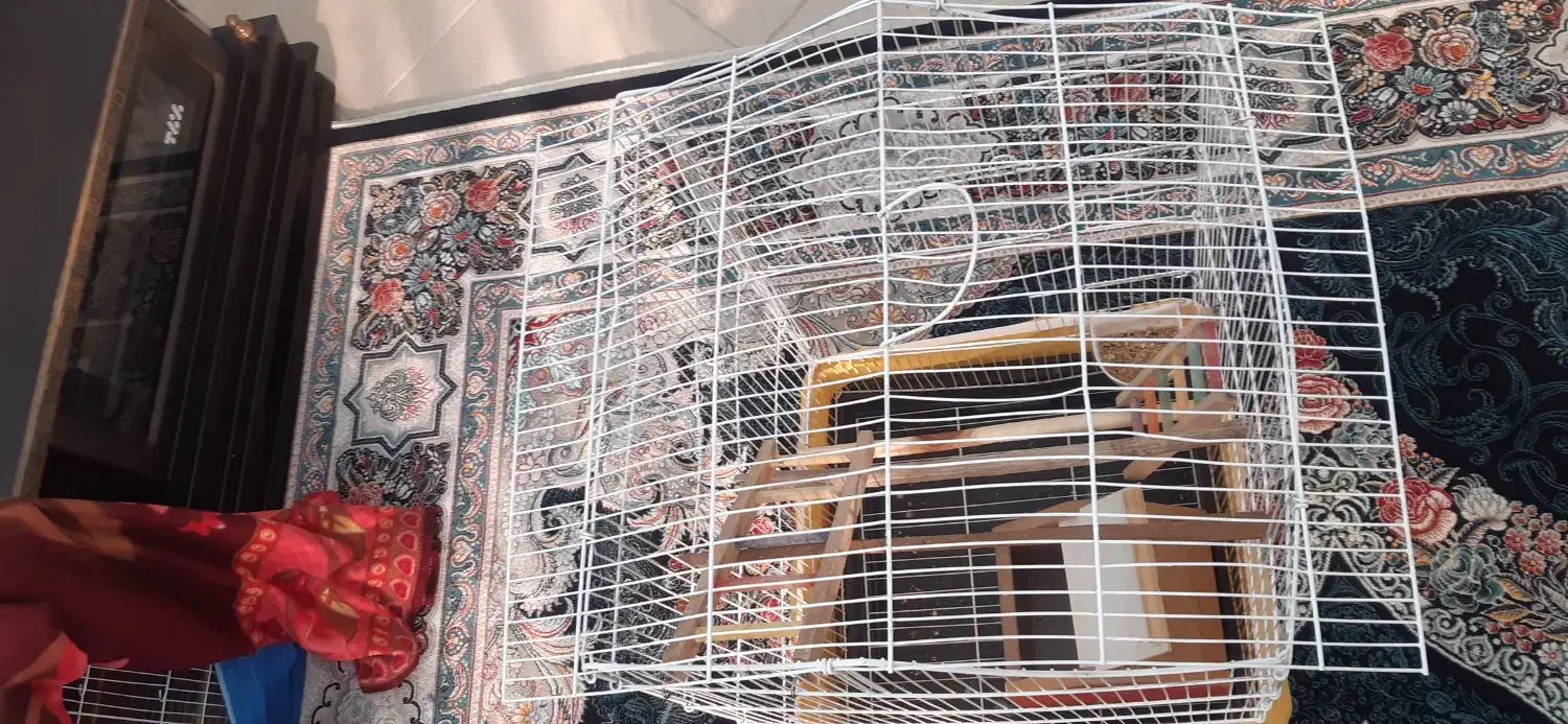 قفس پرنده|لوازم جانبی حیوانات|منجیل, |دیوار