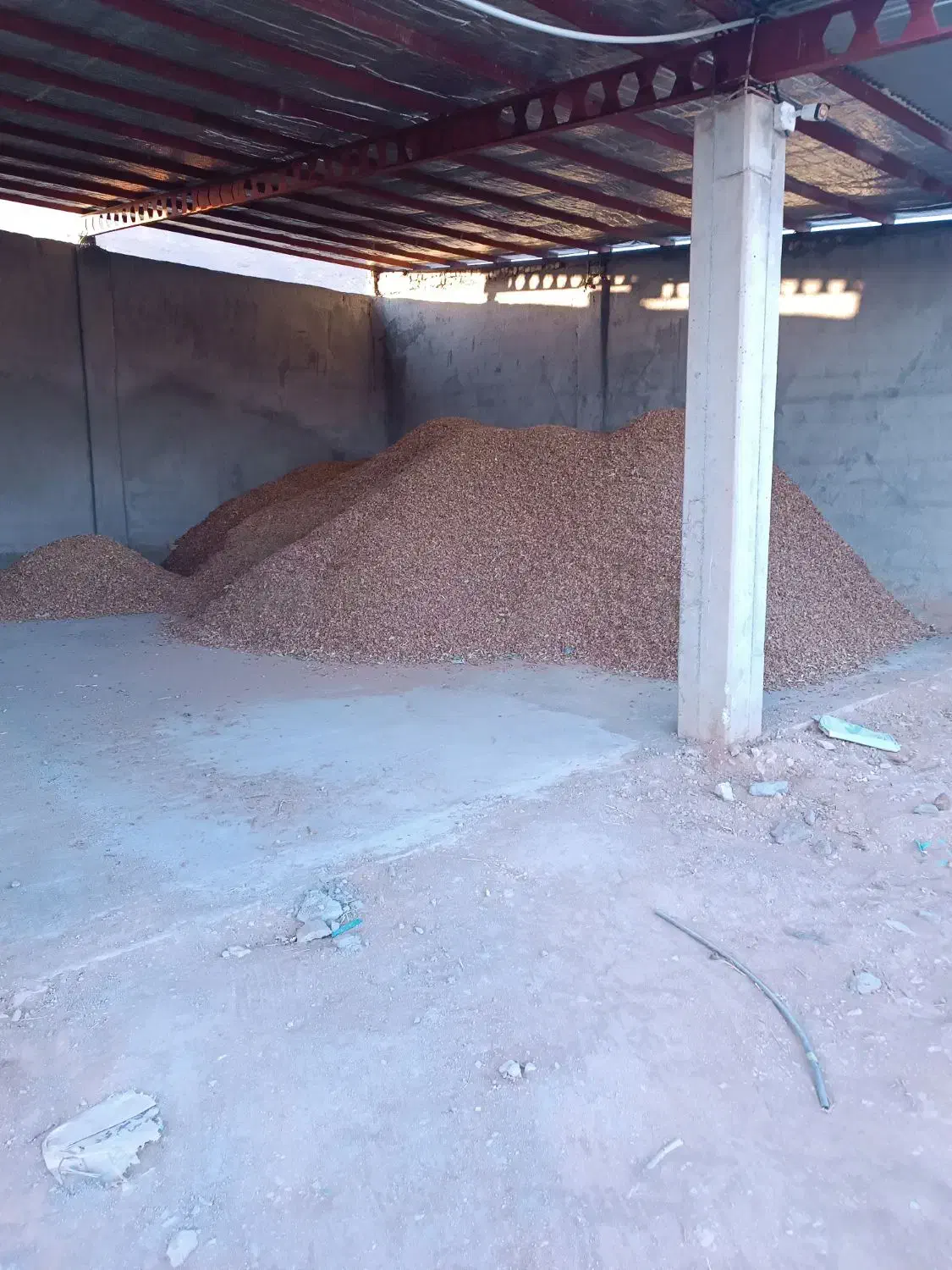 پوست بادام|خدمات باغبانی و درختکاری|بن, |دیوار