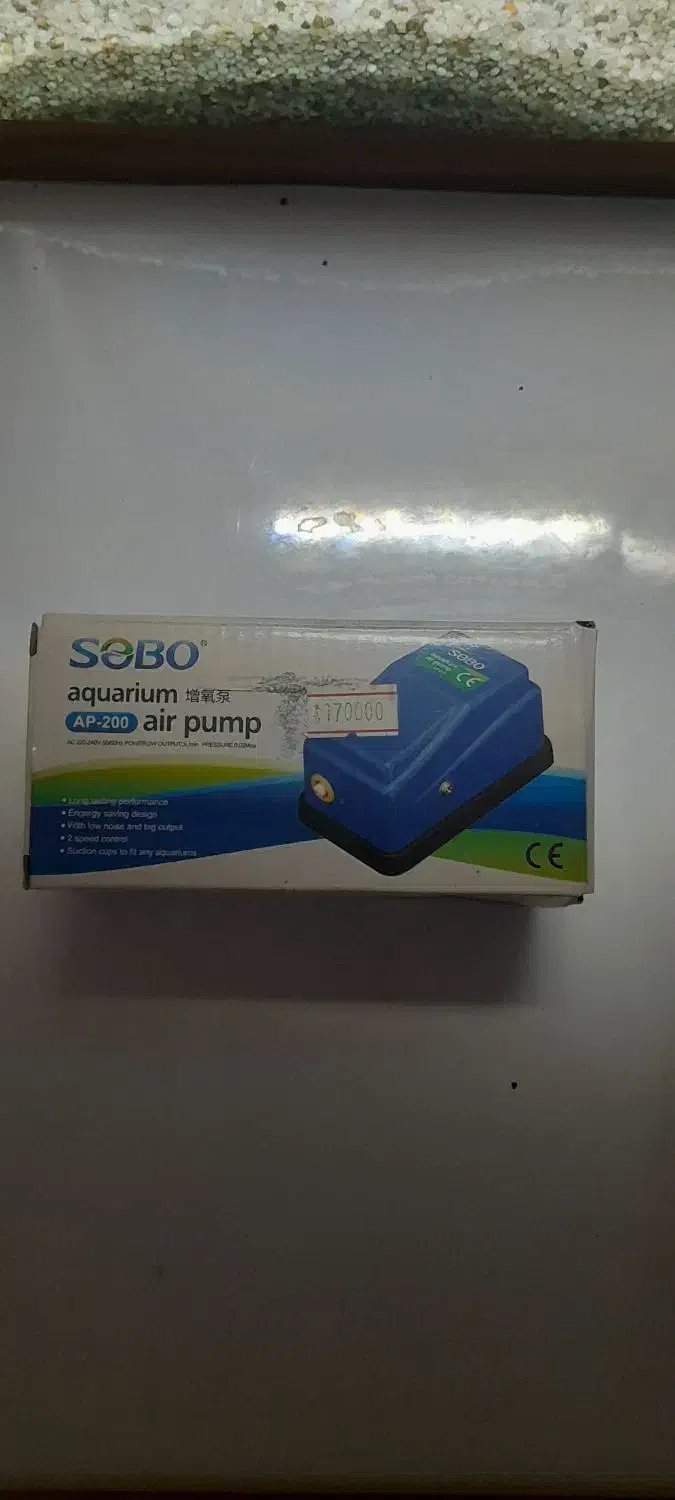 ماهی پرت پلار با لوازم اکواریوم|ماهی|مشهد, مهدی آباد (بلوار توس)|دیوار