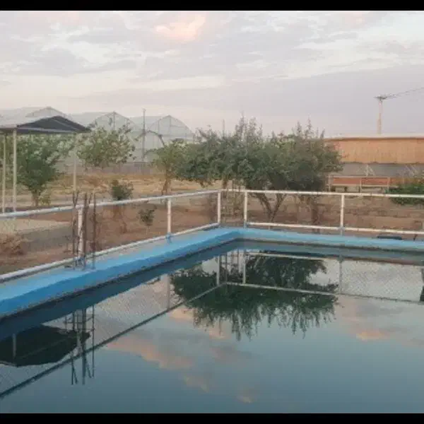 گلخانه اماده کشت و مجهز به امکانات ویژه در شوشتر|فروش دفتر صنعتی، کشاورزی، تجاری|اهواز, کوروش|دیوار