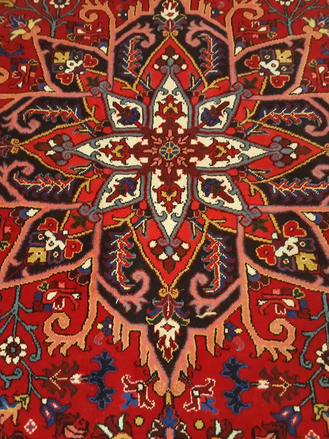 فرش هریس صمد خان|فرش|تبریز, |دیوار