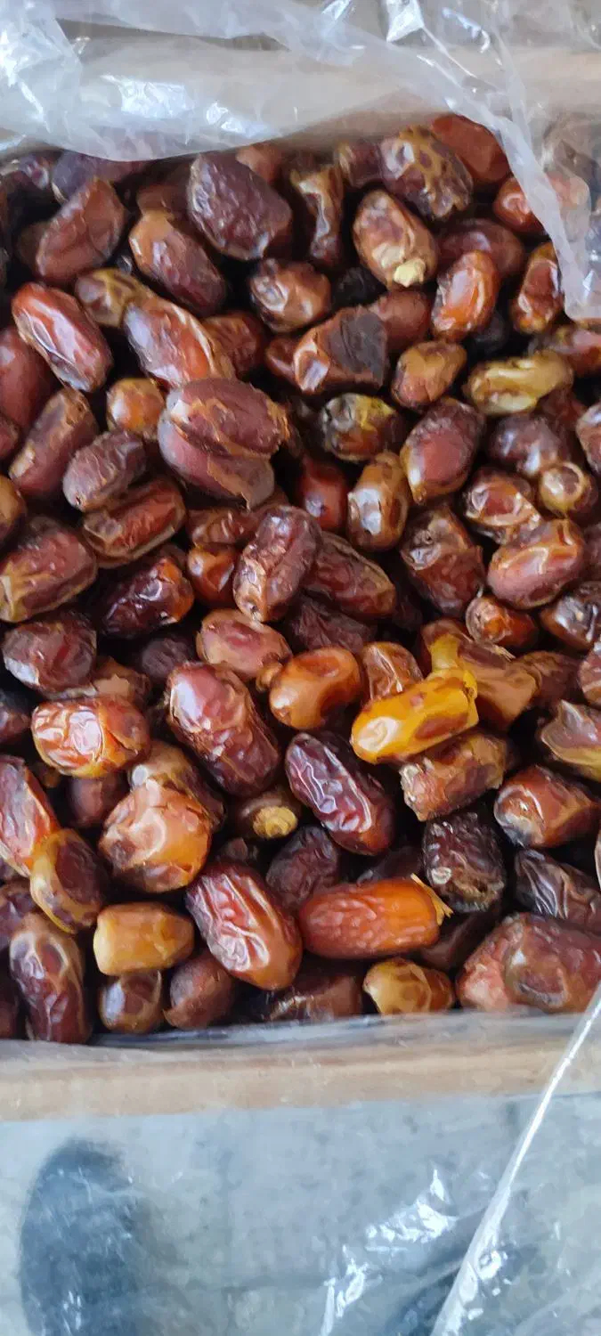 خرما|خوردنی و آشامیدنی|نیشابور, میدون بار|دیوار