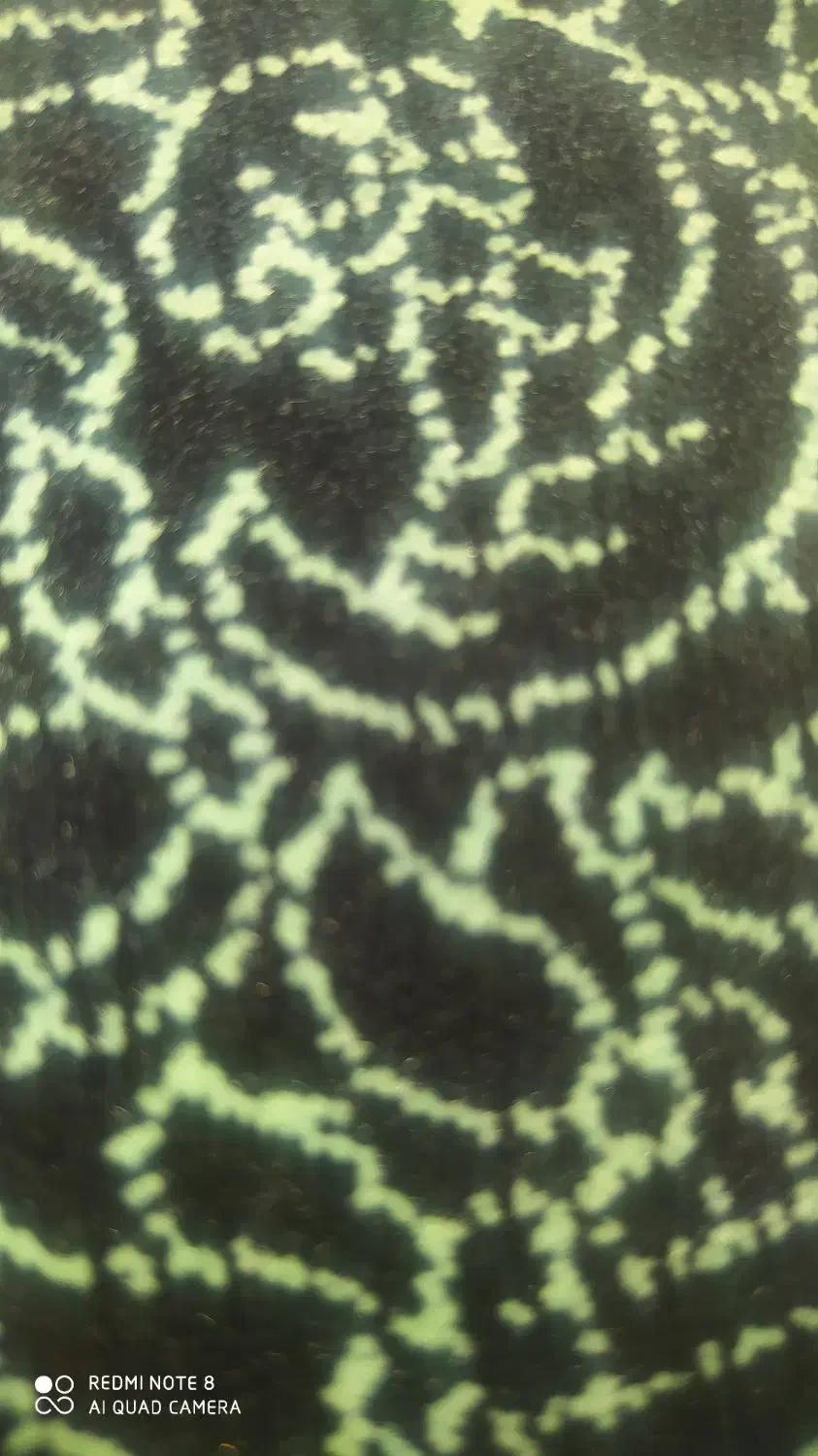 سیمان کاری|خدمات پیشه و مهارت|آباده, |دیوار