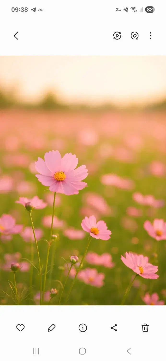 کمک وراهنمایی کنید|فعالیت داوطلبانه|خسروشاه, |دیوار