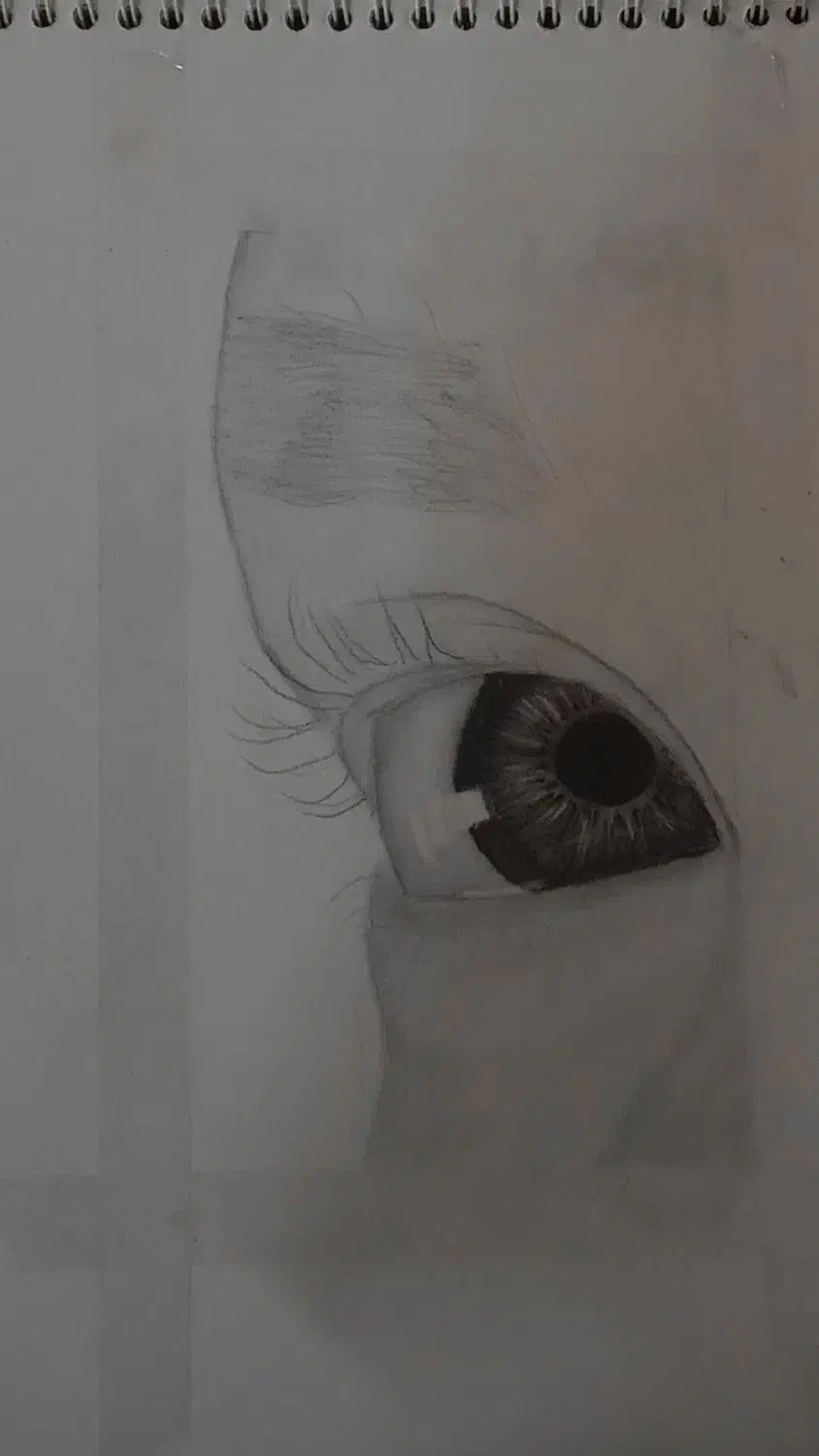 سیاه قلم|تابلو، نقاشی، عکس|مشهد, حرم مطهر رضوی|دیوار