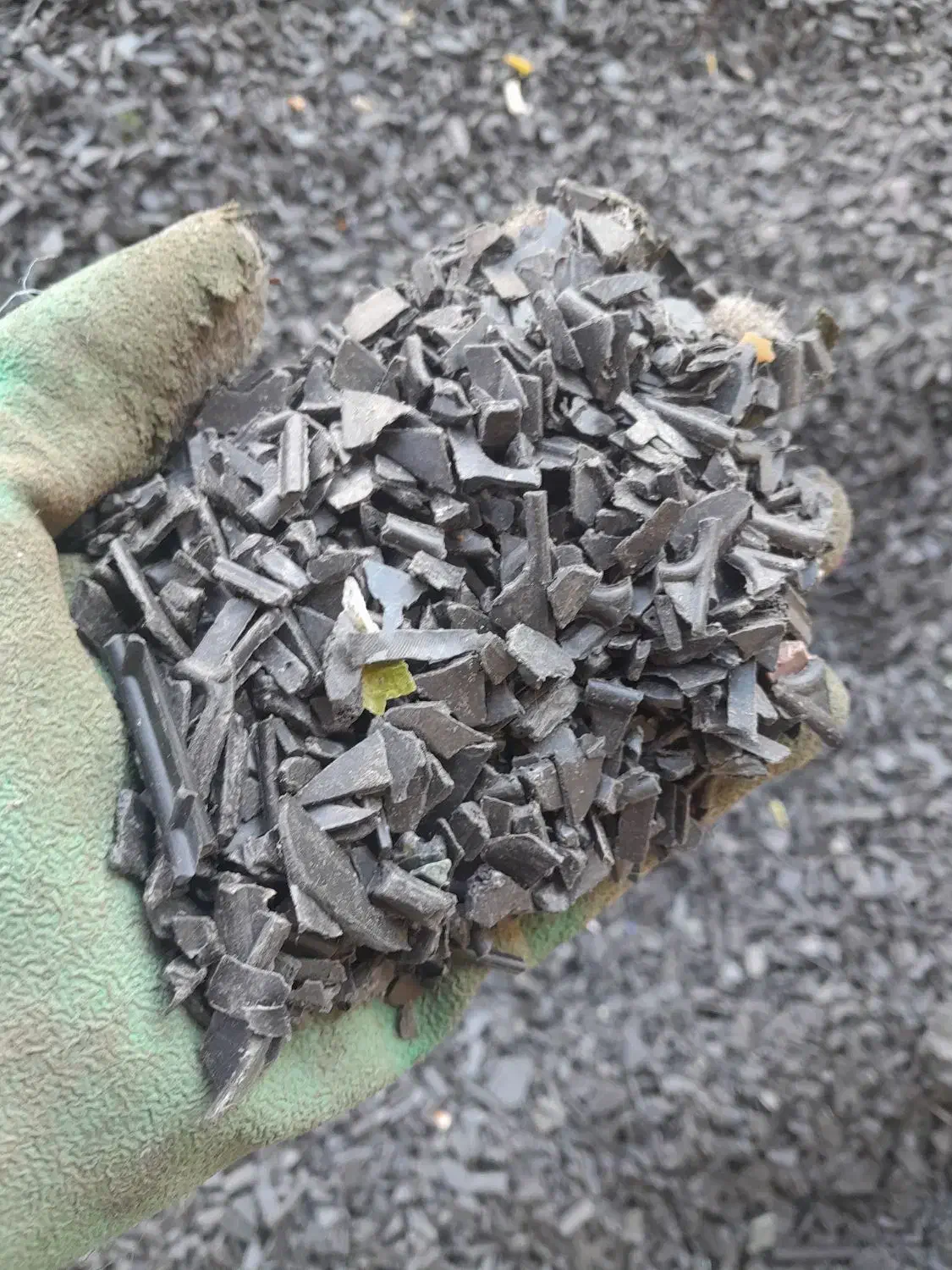 به یک شریک نیازمندم|فعالیت داوطلبانه تحقیقاتی|علی‌آباد کتول, |دیوار