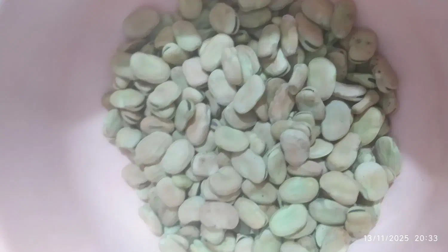 باقله درشت|عمدهفروشی|هرسین, |دیوار