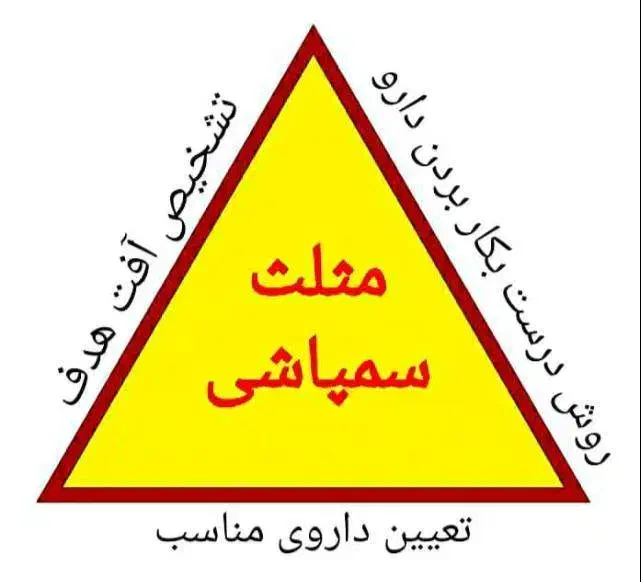 سمپاشی و کود دهی درخت و فضای سبز|خدمات باغبانی و درختکاری|بندرعباس, |دیوار