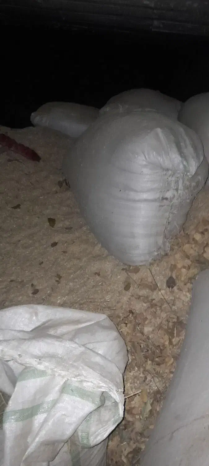 کاه‌یونجه|لوازم جانبی حیوانات|بروجرد, |دیوار