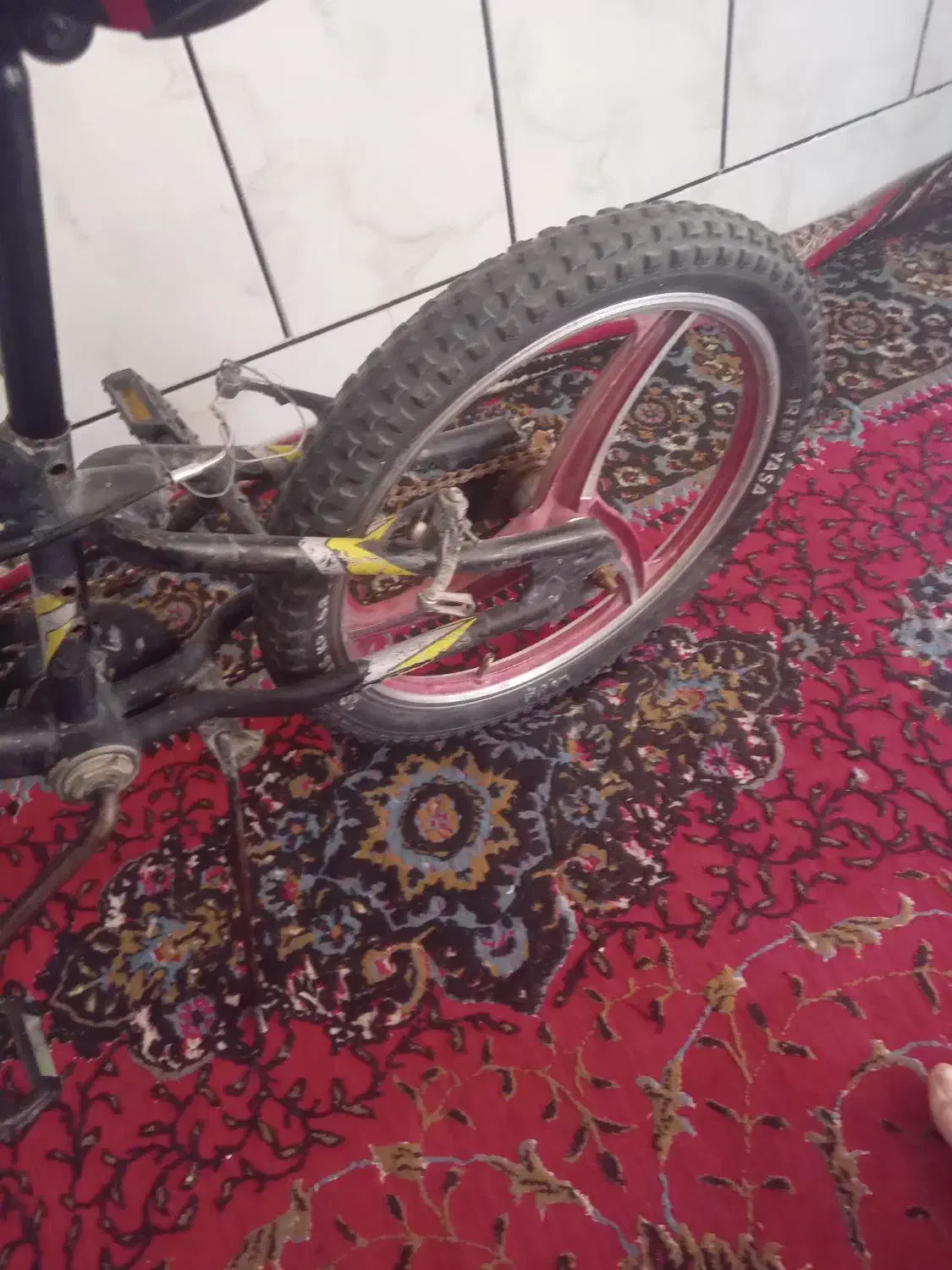 دوچرخه|دوچرخه، اسکیت، اسکوتر|فیروزآباد (فارس), |دیوار