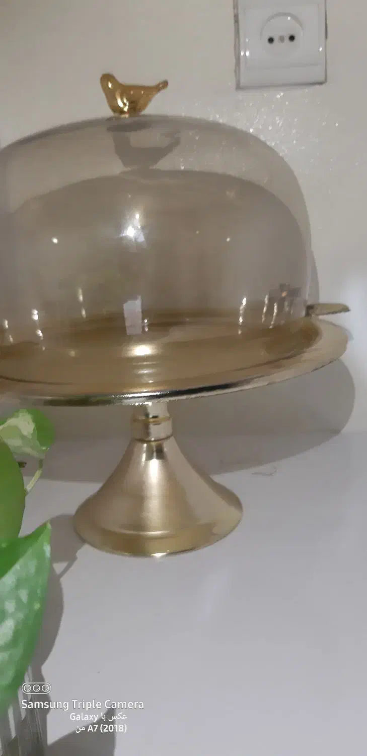 کاپ کیک|ظروف سرو و پذیرایی|آزادشهر, |دیوار