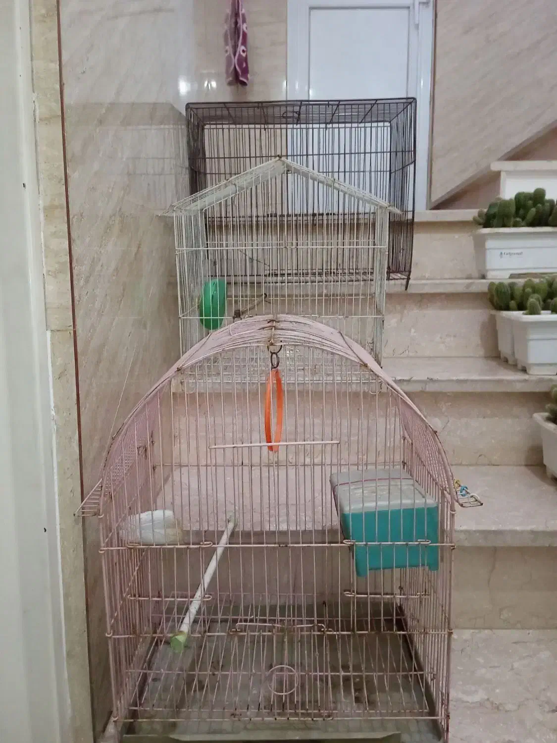 قفس پرنده|لوازم جانبی حیوانات|رباطکریم, الارد|دیوار