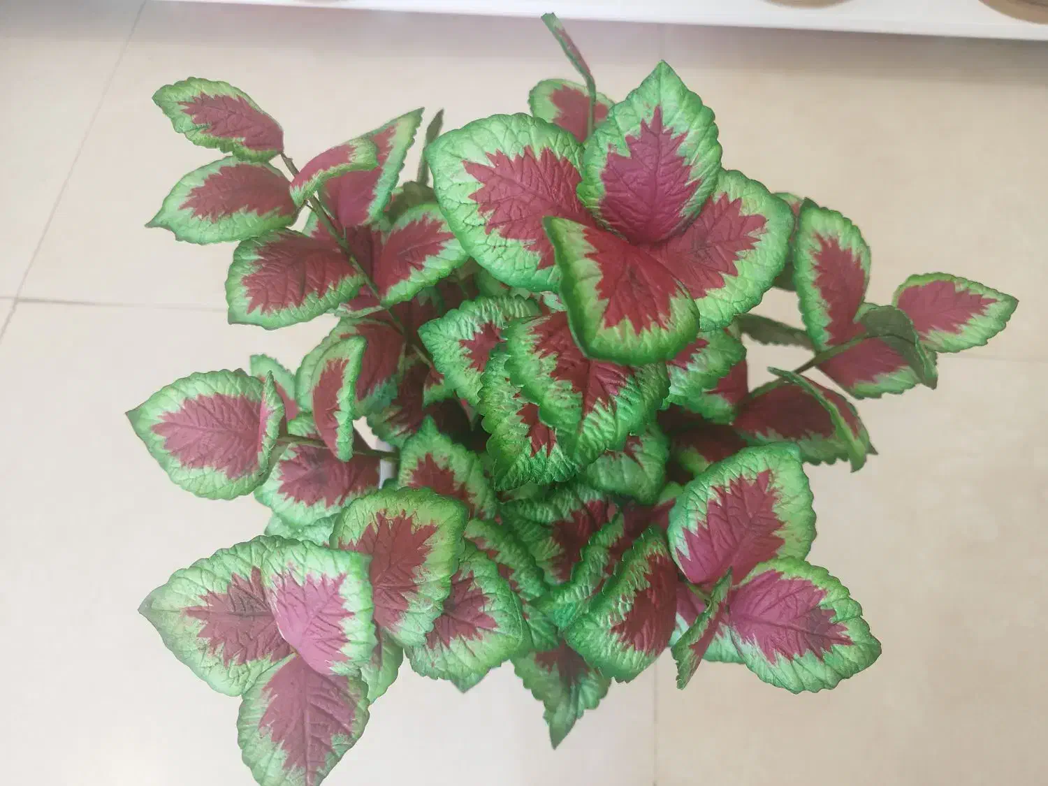 انواع گل دست ساز قابل شستشو|گل مصنوعی|قروه, |دیوار