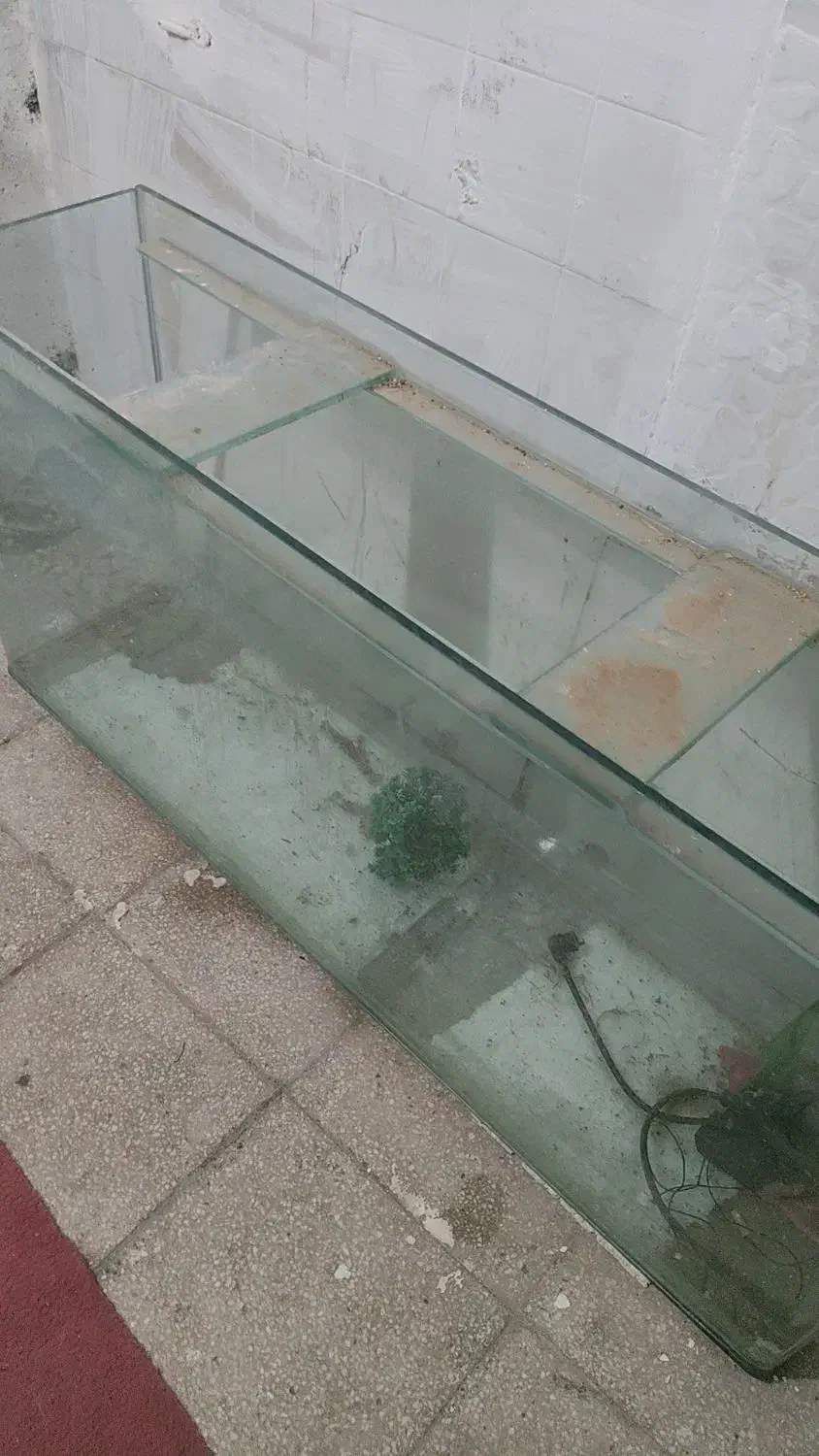 اکواریم شرکتی|ماهی|قم, امامزاده ابراهیم|دیوار