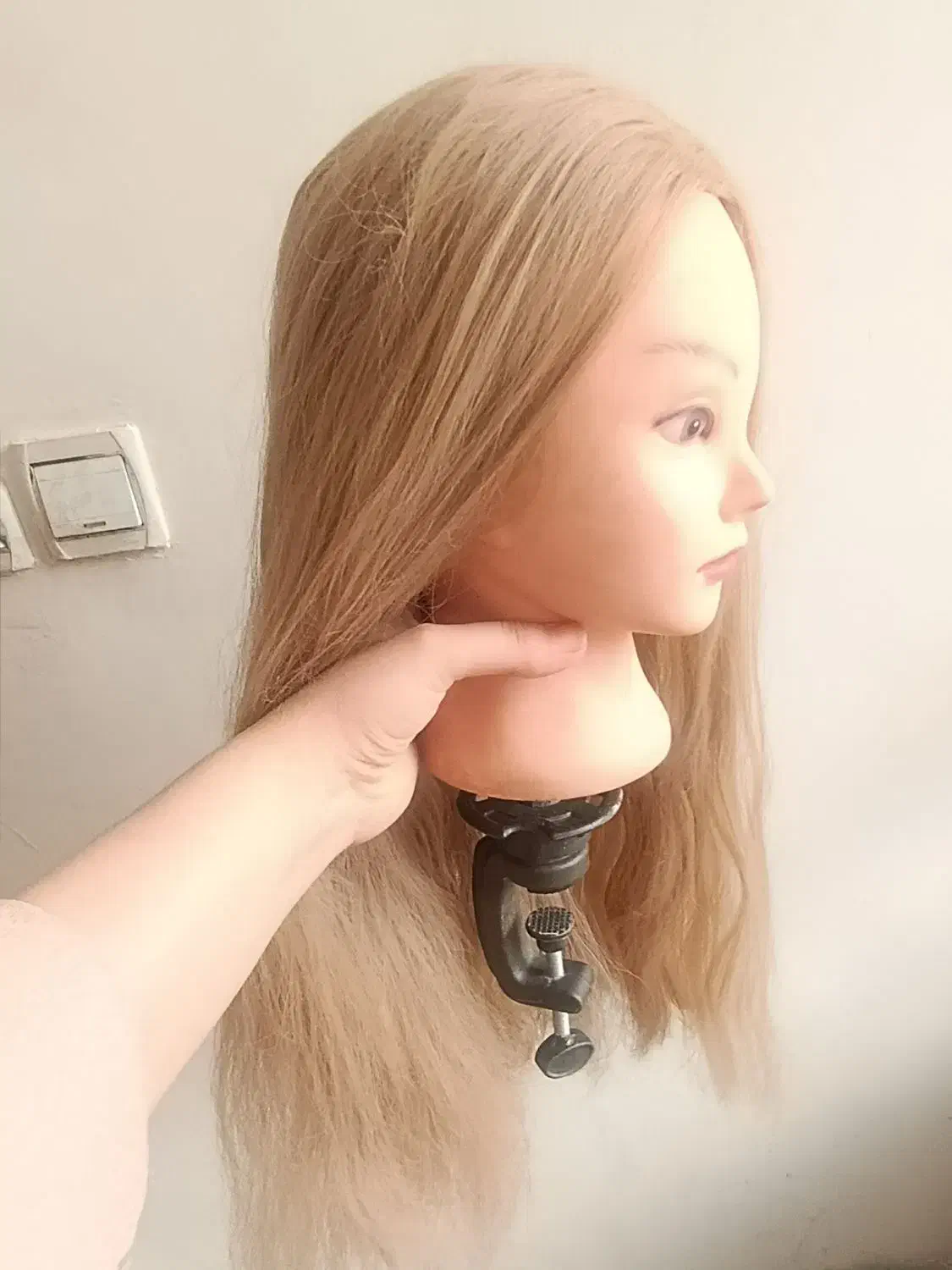 کله مانکن|آرایشگاه و سالنهای زیبایی|مشهد, کارگران|دیوار