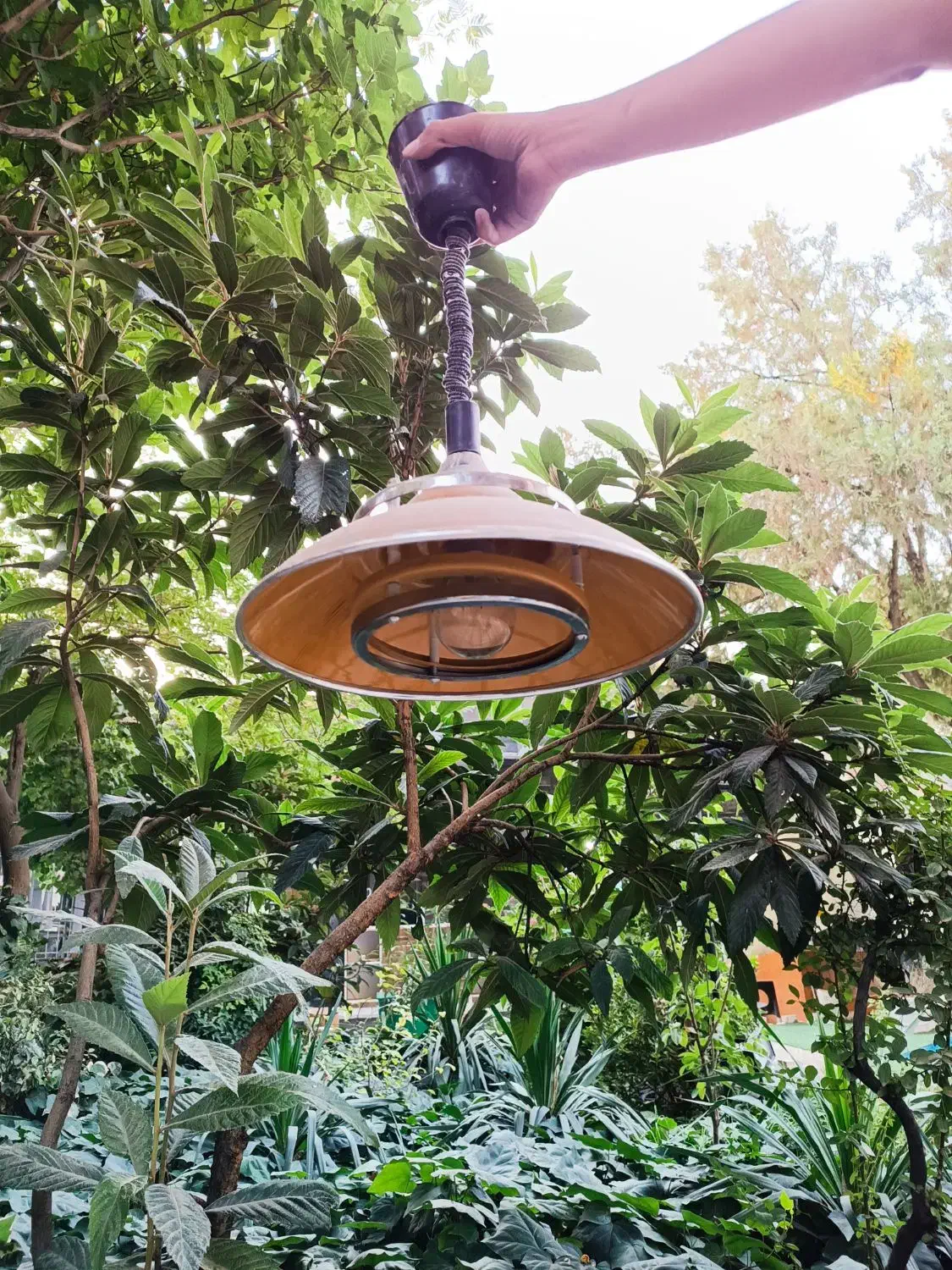 لوستر|لوستر و چراغ آویز|کرمانشاه, |دیوار