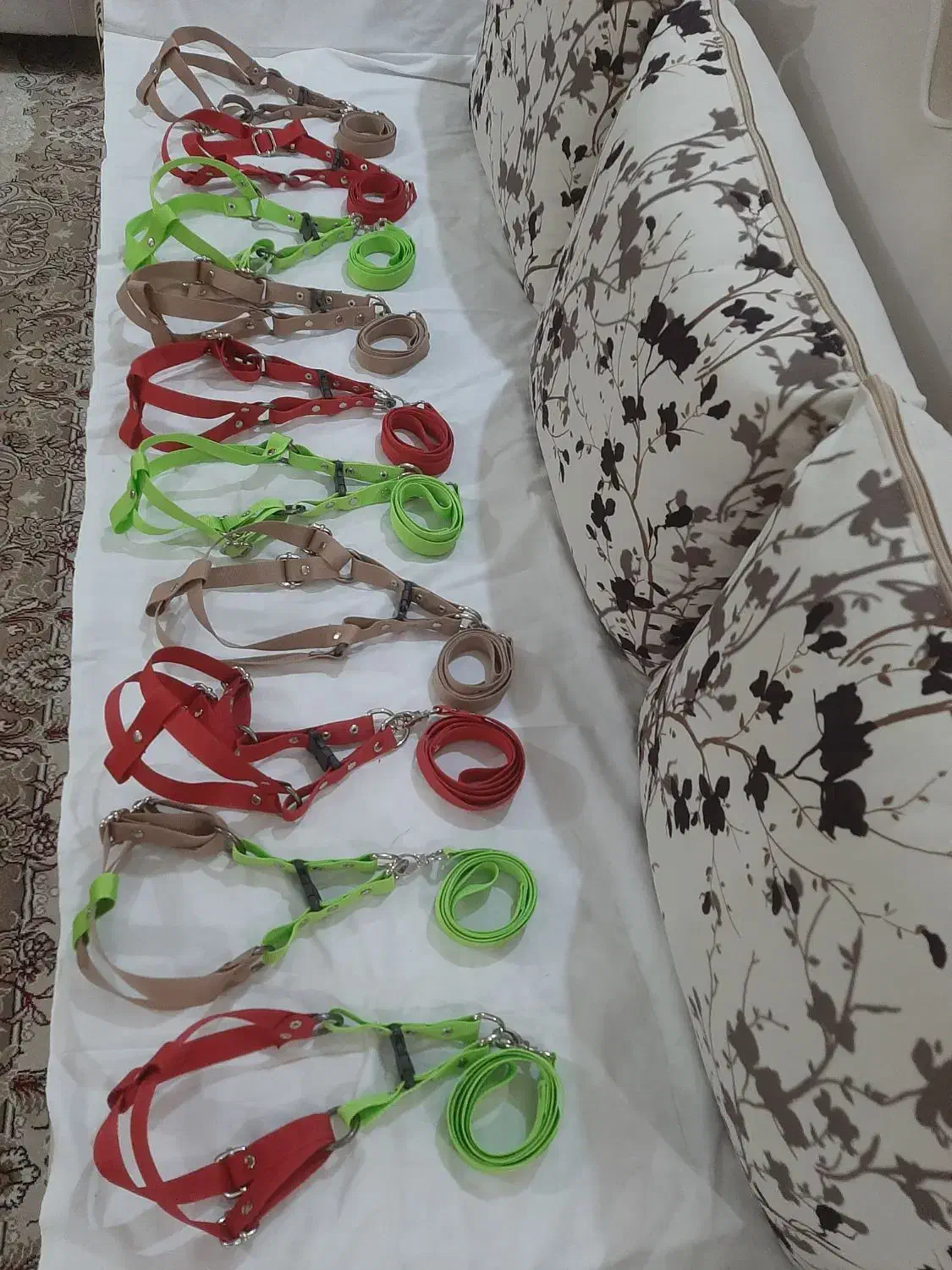 زنجیر|لوازم جانبی حیوانات|مسجد سلیمان, |دیوار