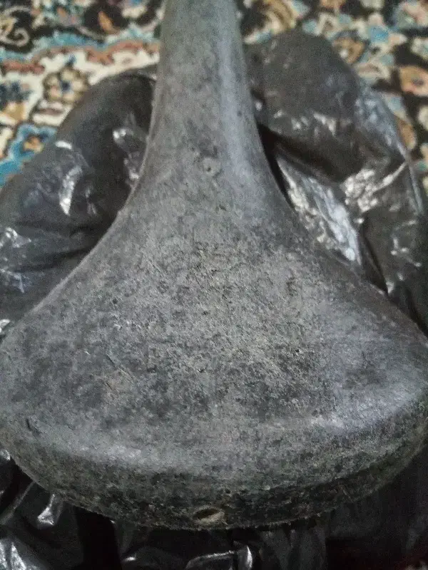 زین دچرخه|دوچرخه، اسکیت، اسکوتر|املش, |دیوار