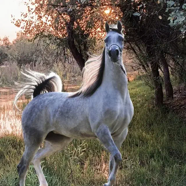 پول برای همکاری|فعالیت داوطلبانه|شوشتر, |دیوار