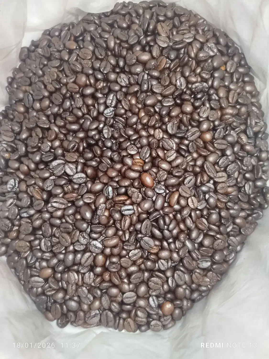 قهوه|کافی‌شاپ و رستوران|شوشتر, |دیوار