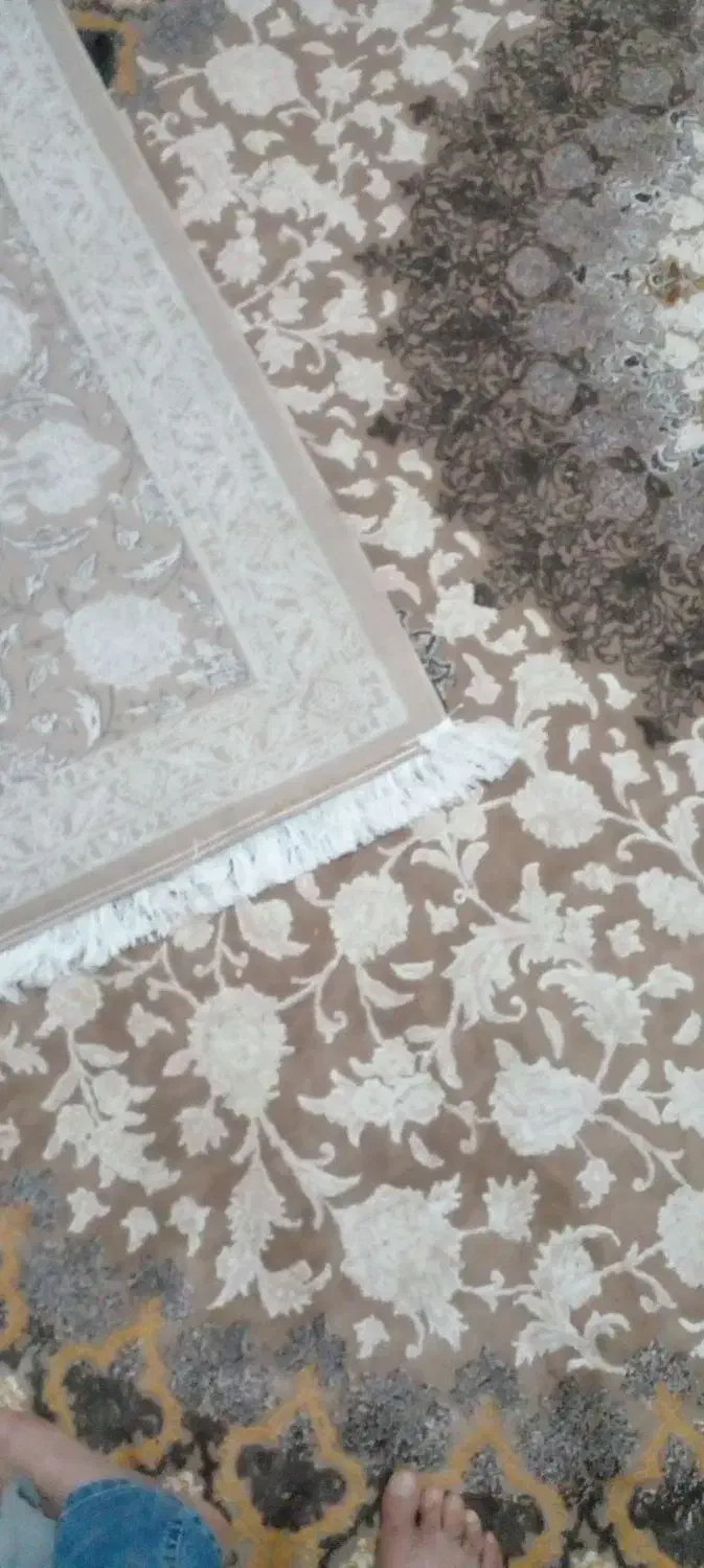 فروش 2 تخته فرش|فرش|مشهد, هفت تیر (حافظ)|دیوار