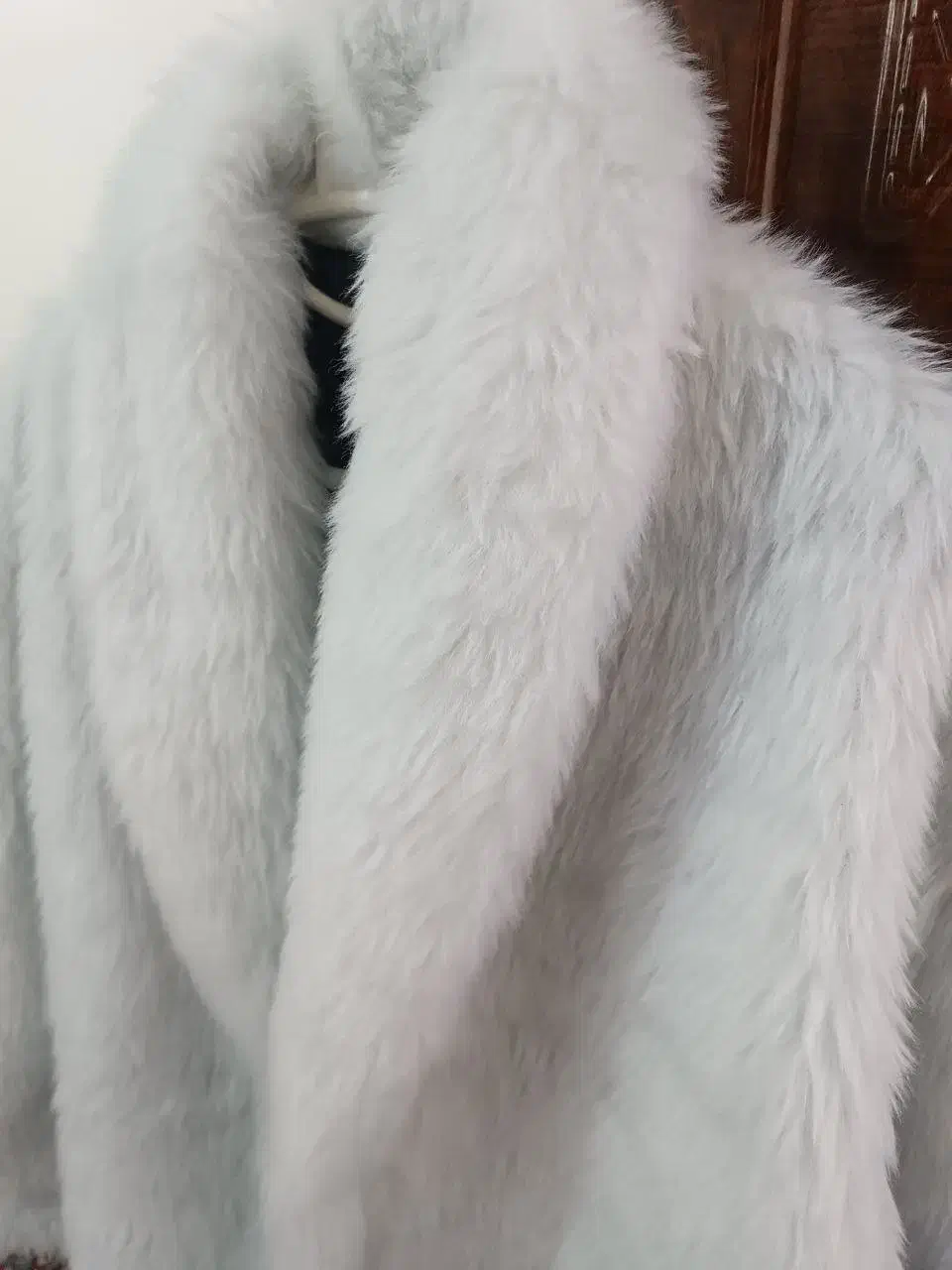 پالتو پوست جاسمین|لباس|آذرشهر, |دیوار