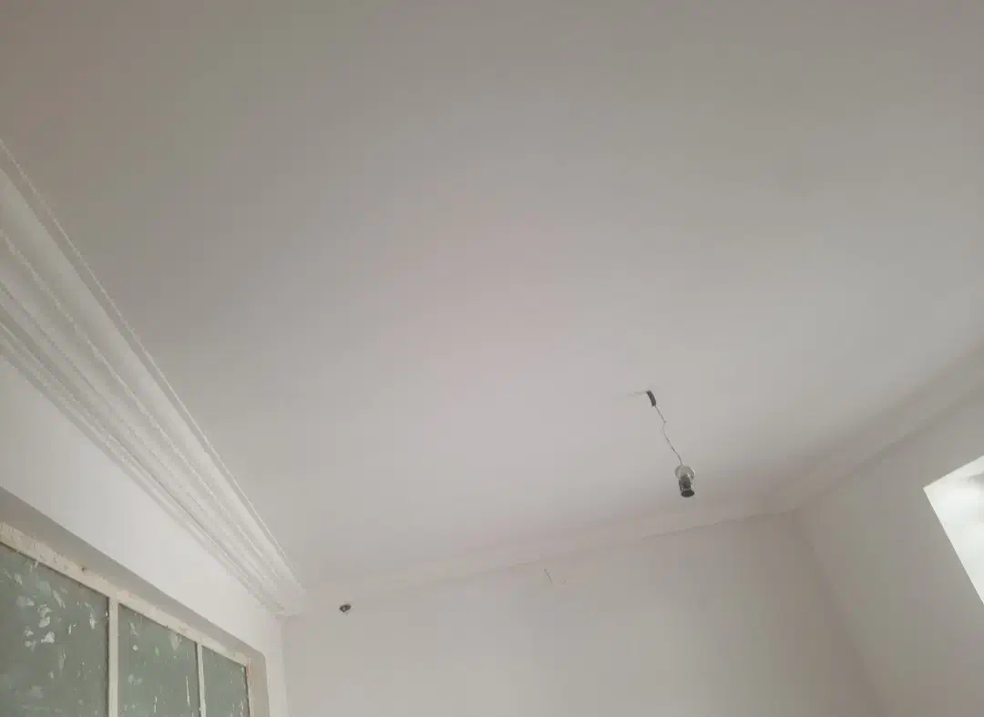 سفیدکاری ساختمان|خدمات پیشه و مهارت|نیریز, |دیوار