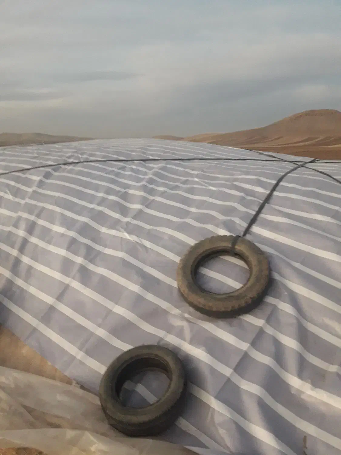 کاه گندم|خدمات باغبانی و درختکاری|ماهیدشت, |دیوار